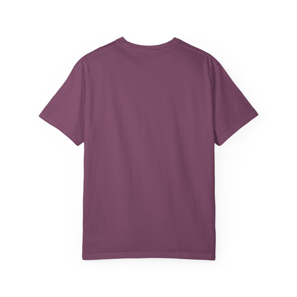 Olympic National Park T-Shirt