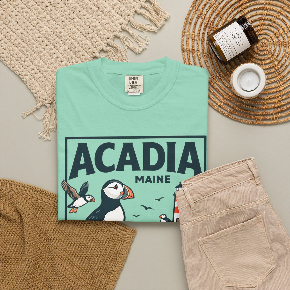 Acadia National Park Puffin T-Shirt