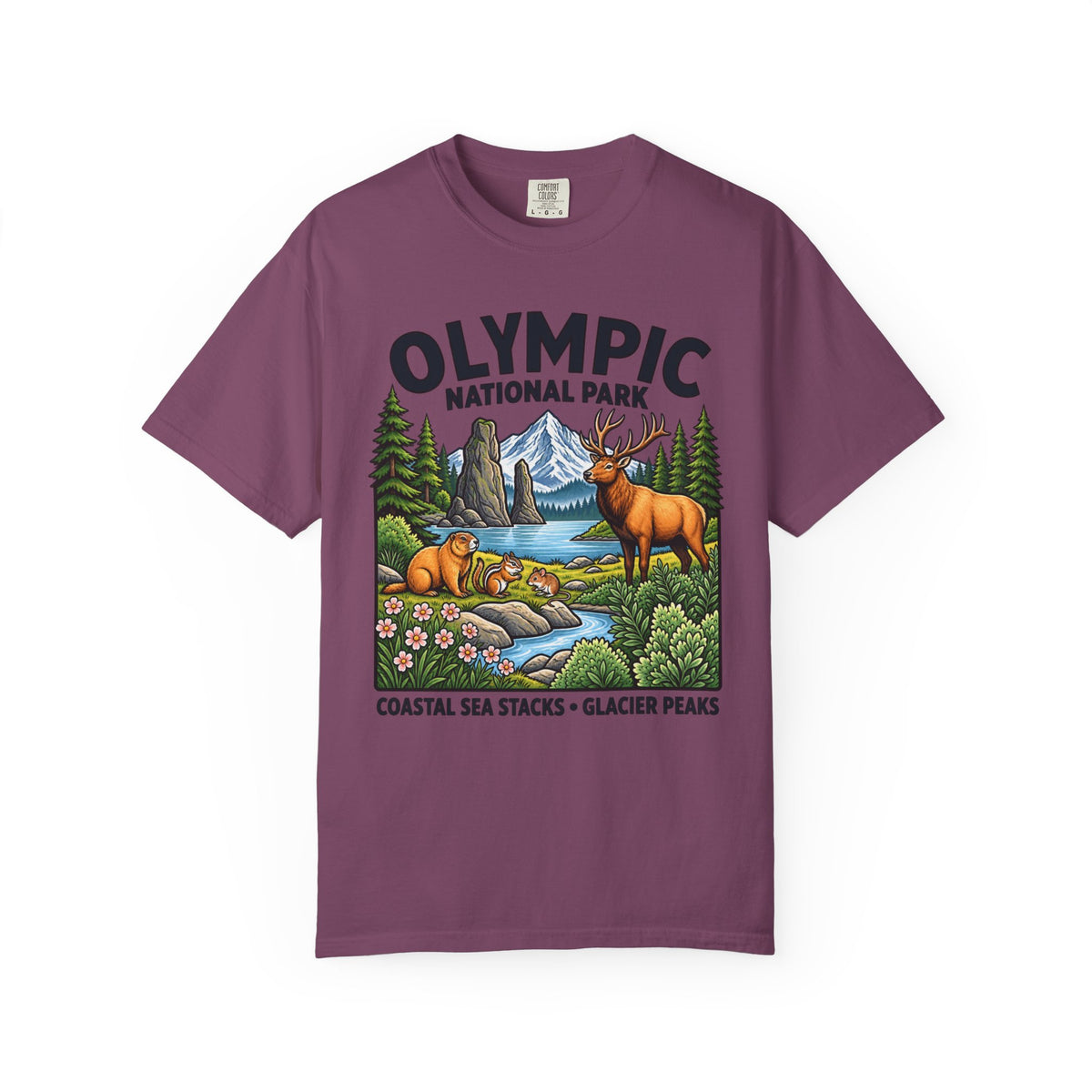 Olympic National Park T-Shirt