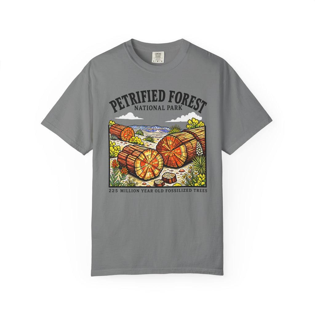 Petrified Forest National Park T‑Shirt