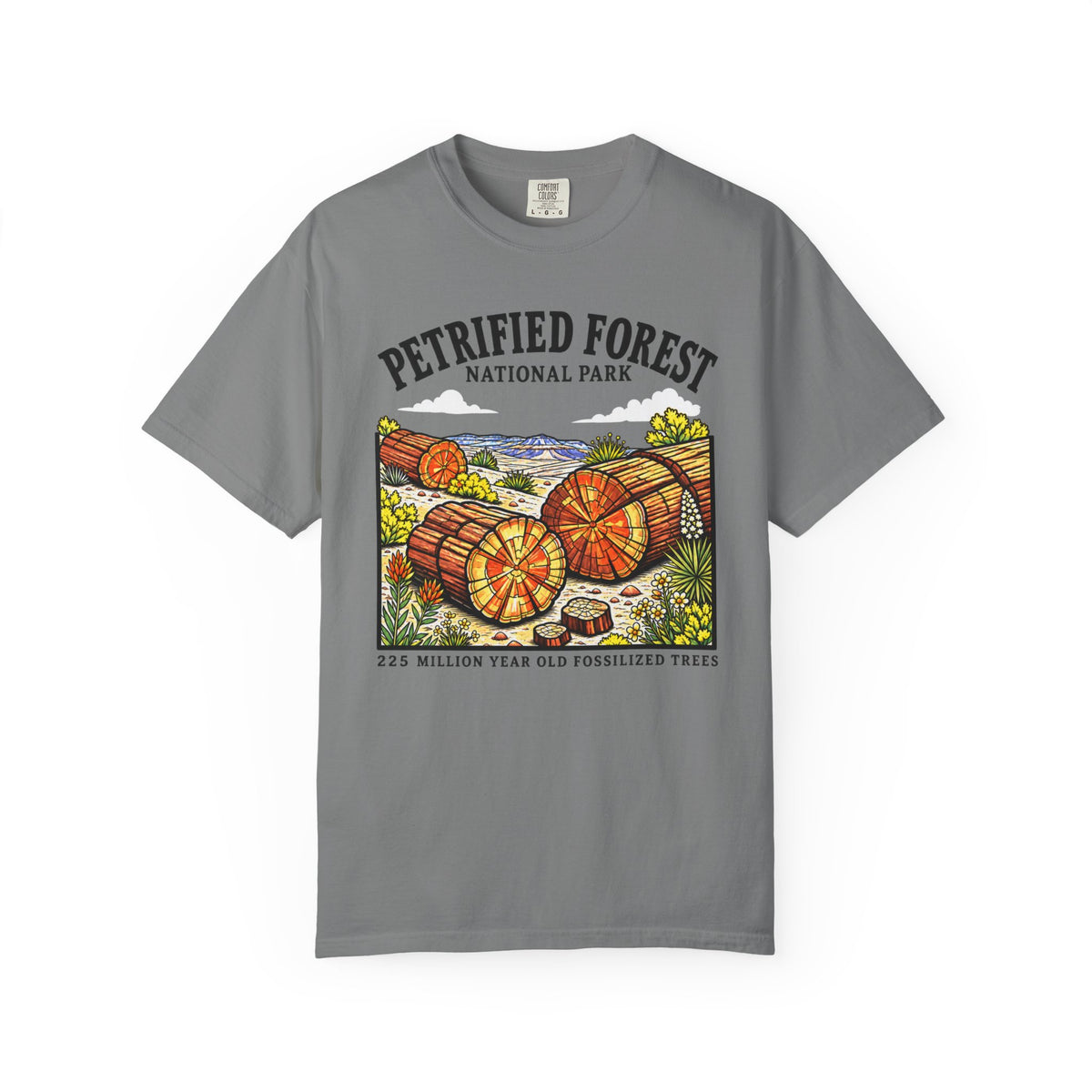 Petrified Forest National Park T‑Shirt
