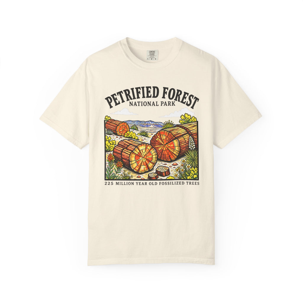 Petrified Forest National Park T‑Shirt