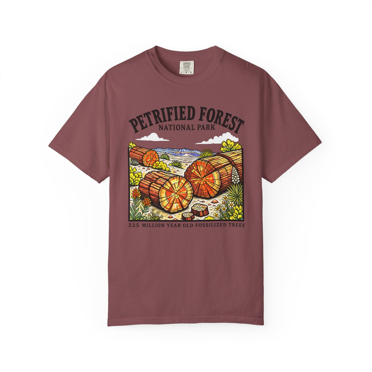 Petrified Forest National Park T‑Shirt
