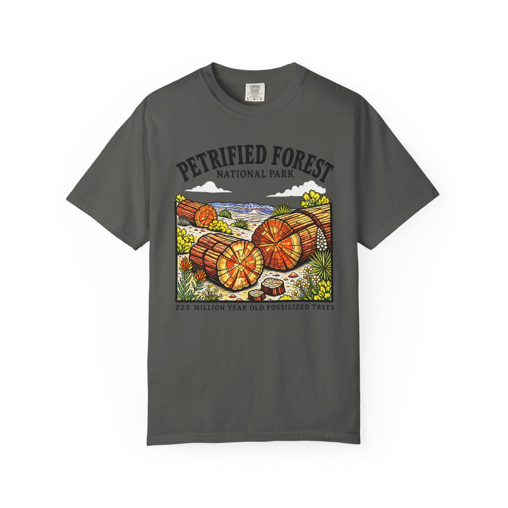Petrified Forest National Park T‑Shirt