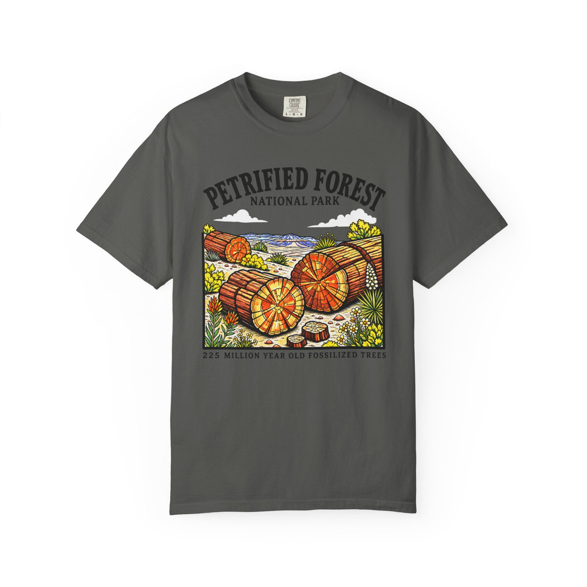 Petrified Forest National Park T‑Shirt