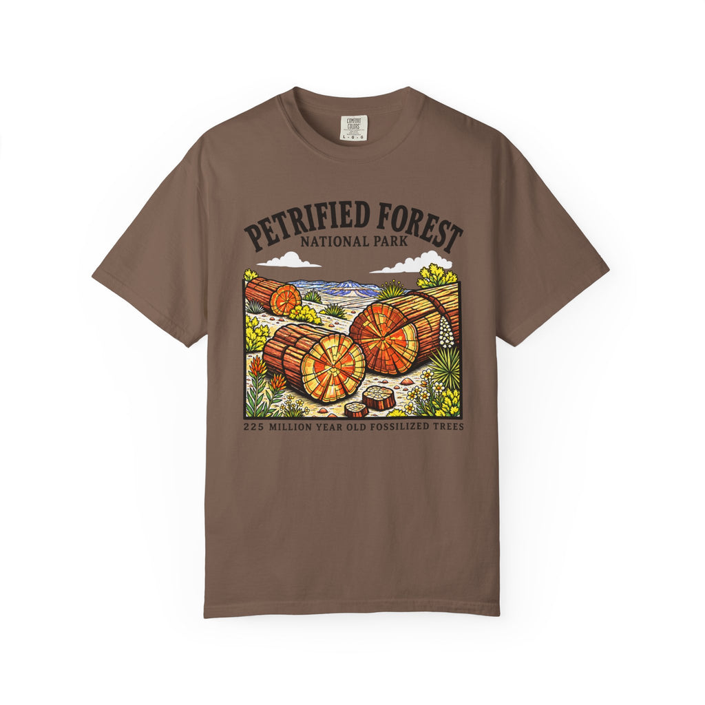 Petrified Forest National Park T‑Shirt
