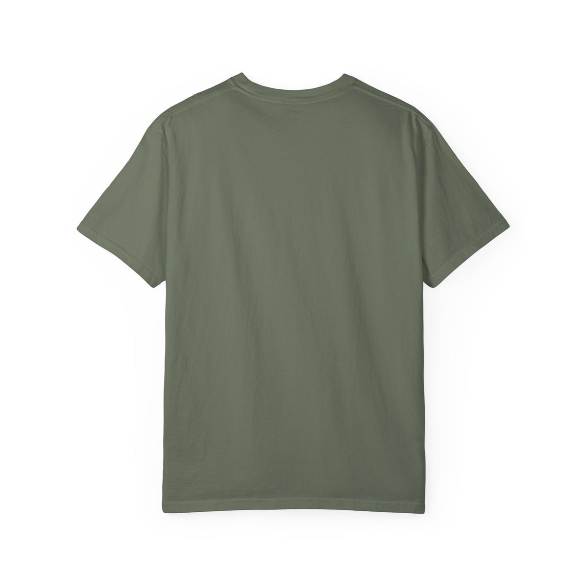 Olympic National Park T-Shirt