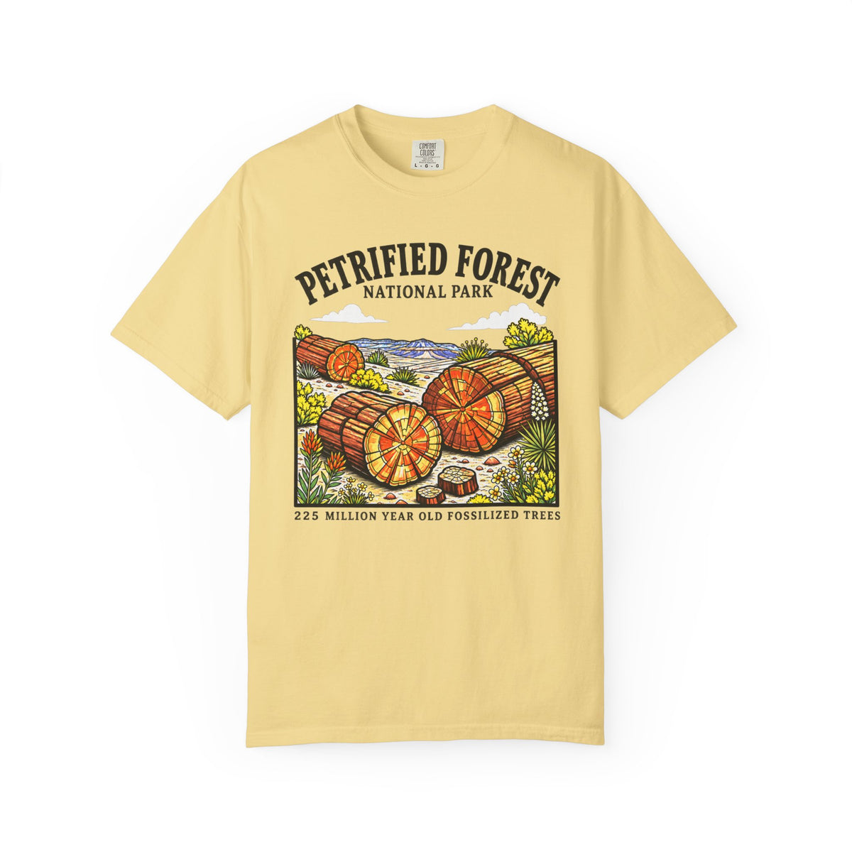 Petrified Forest National Park T‑Shirt