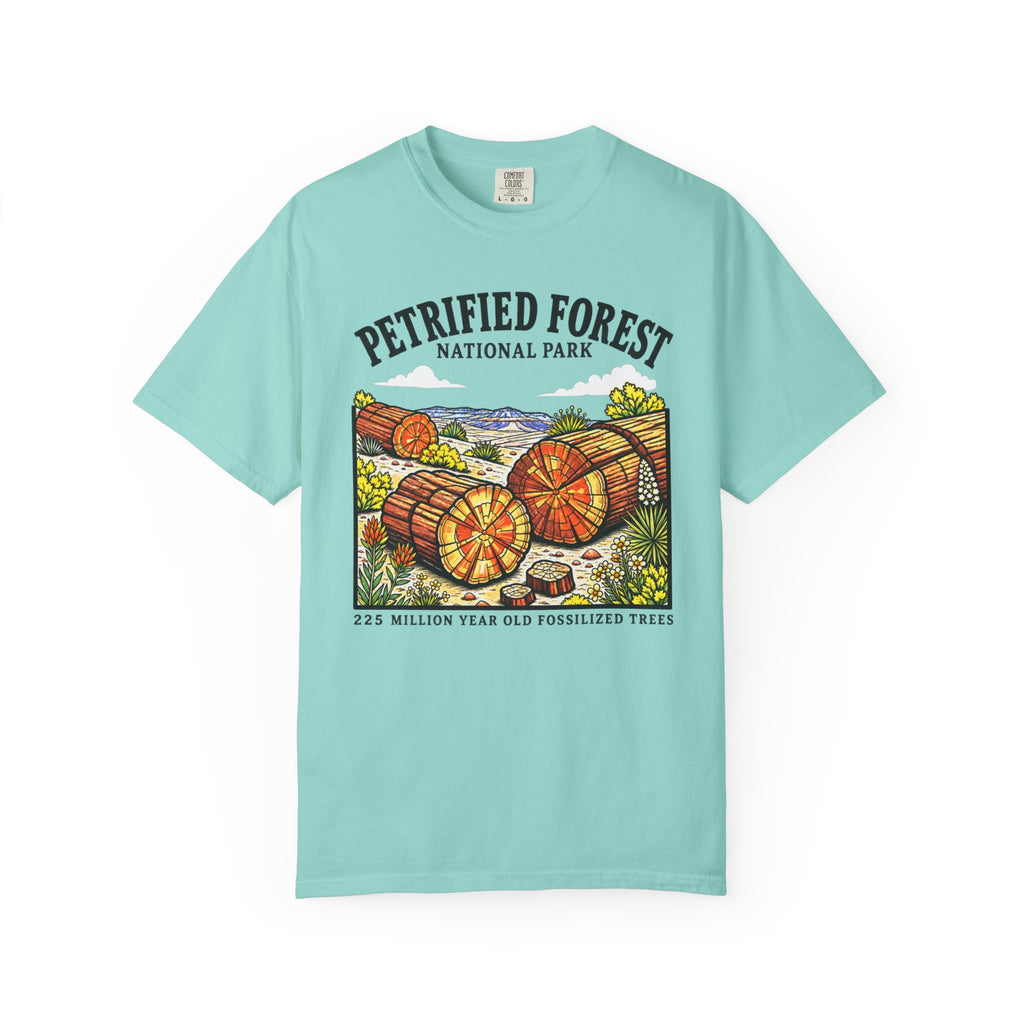 Petrified Forest National Park T‑Shirt