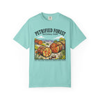 Petrified Forest National Park T‑Shirt