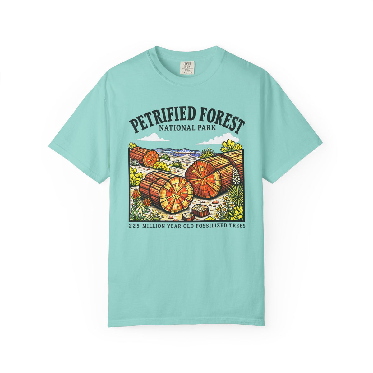 Petrified Forest National Park T‑Shirt