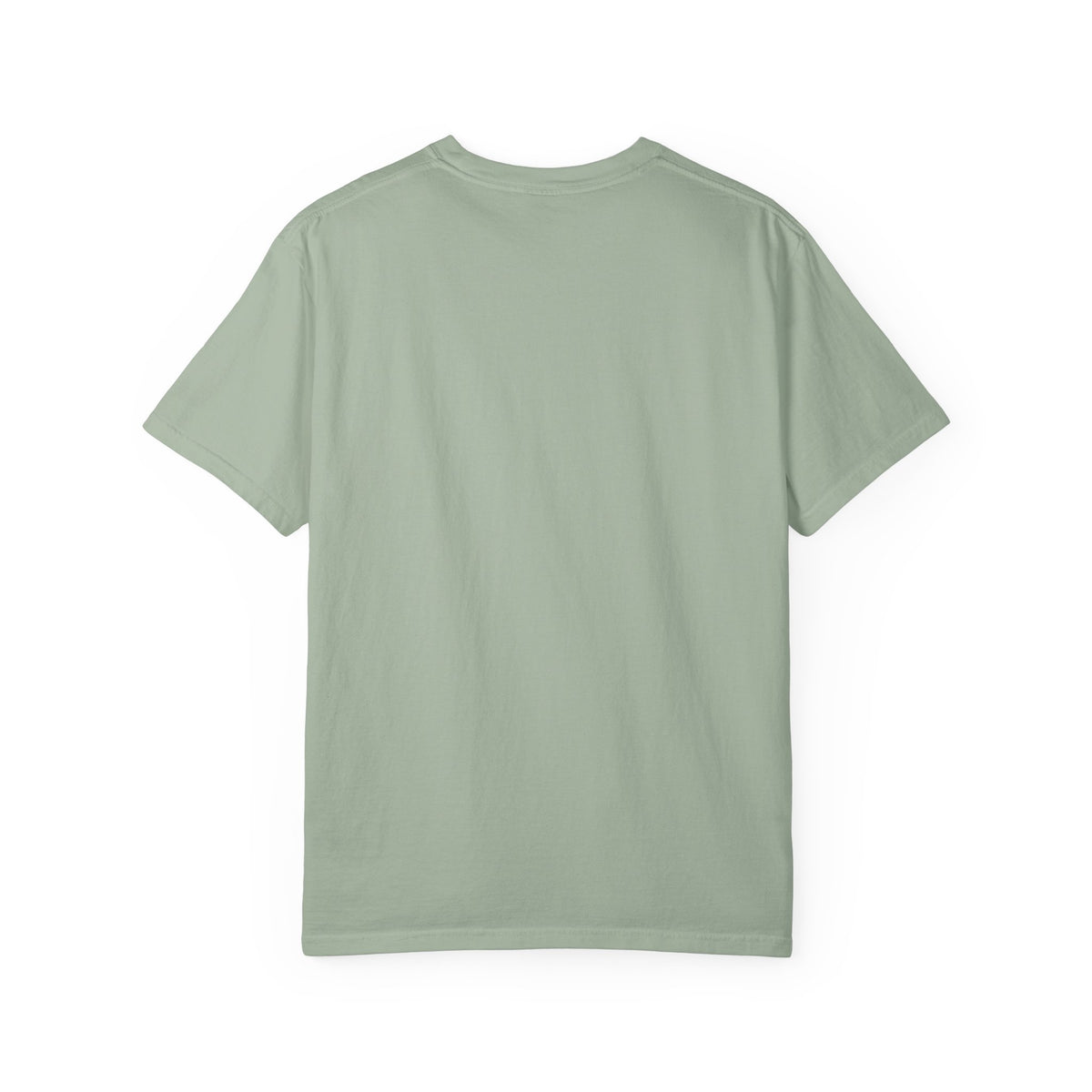 Kenai Fjords National Park T-Shirt